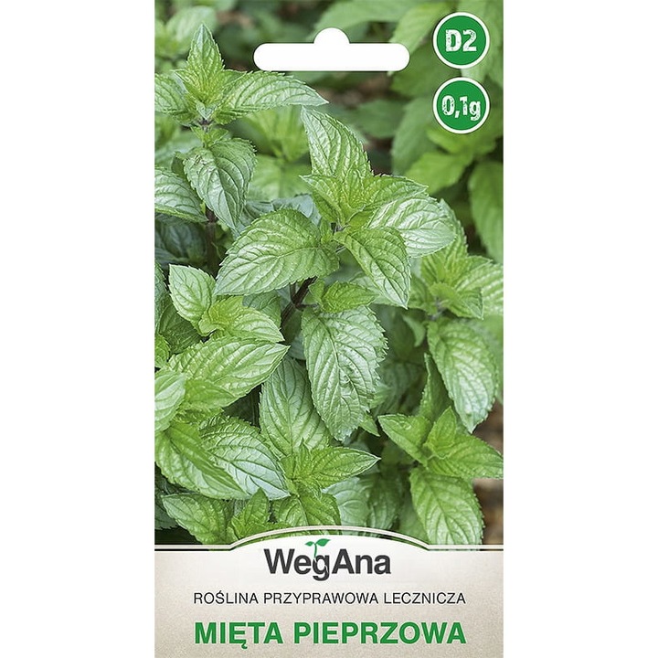 Seminte de gradina, Seminte - Menta, WegAna, 0.1 g, Verde, calitate superioara, seminte premium, seminte de top