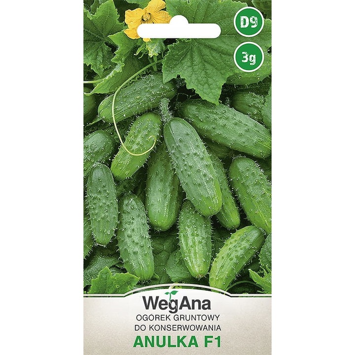 Seminte de gradina, Castraveti macinati Anulka, WegAna, 3 g, calitate superioara, seminte premium, seminte de top