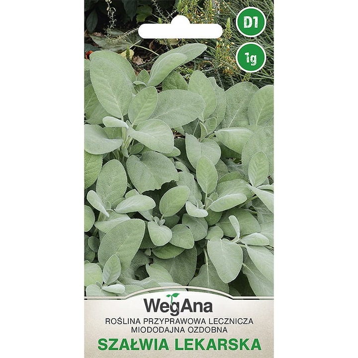 Seminte de gradina, Seminte de salvie, WegAna, 1 g, calitate superioara, seminte premium, seminte de top