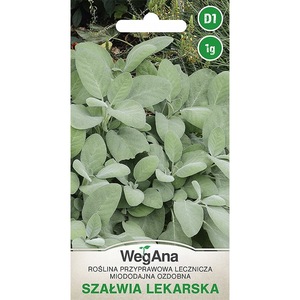 Bulbi, seminte si rasaduri