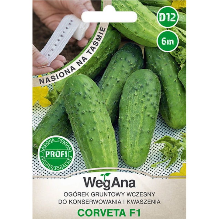 Seminte de gradina, Seminte hibride de castravete, WegAna, 5g, calitate superioara, seminte premium, seminte de top