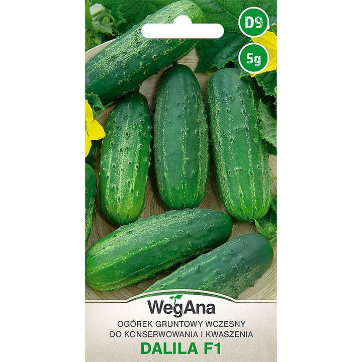 Seminte de castravete murat Dalila, WegAna, 5 g