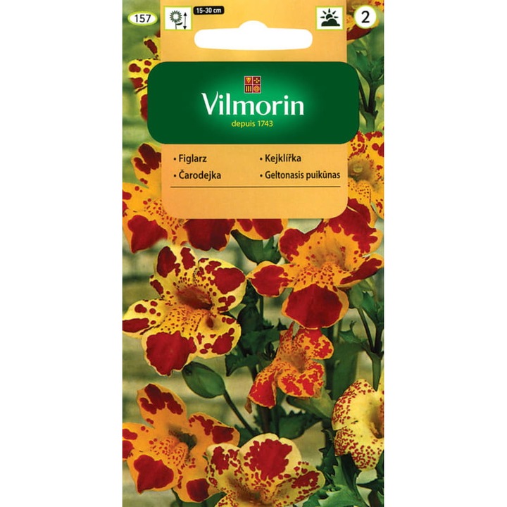 Figlarz Kroplik mag, Vilmorin, színes keverék, 0,3g, magasság 15-30 cm