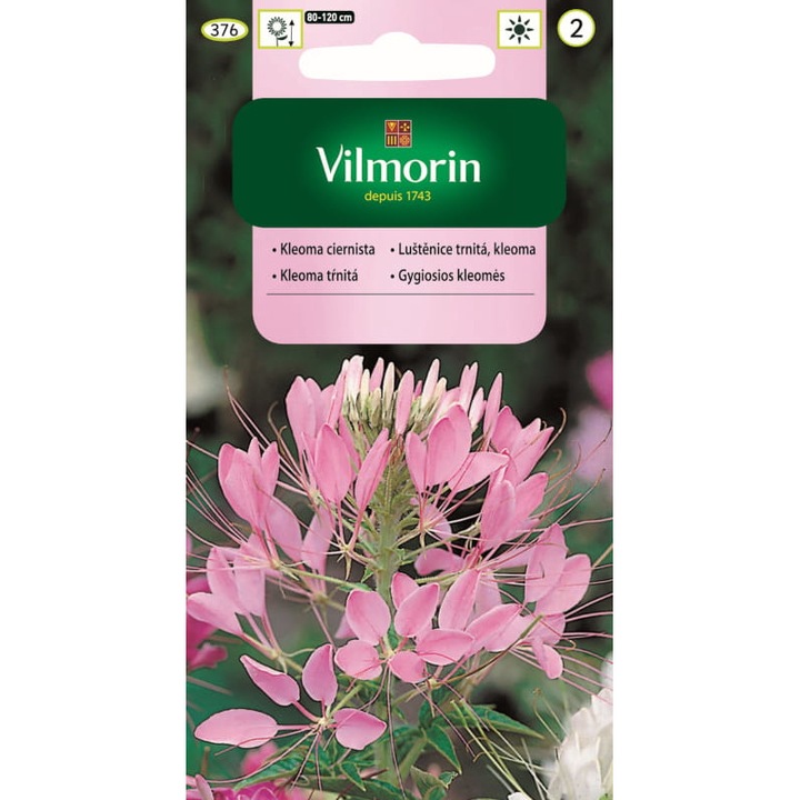 Magkeverék Kleome, Vilmorin, 1g