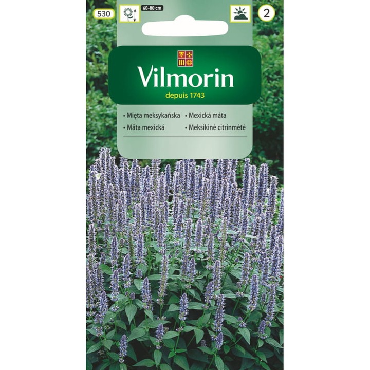 Seminte de gradina, Seminte Menta mexicana, Vilmorin, 0.1g, calitate superioara, seminte premium, seminte de top