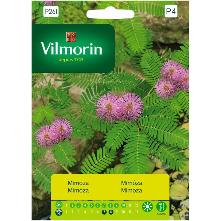 Kíméletlen mimóza mag, Vilmorin, 0,8 g