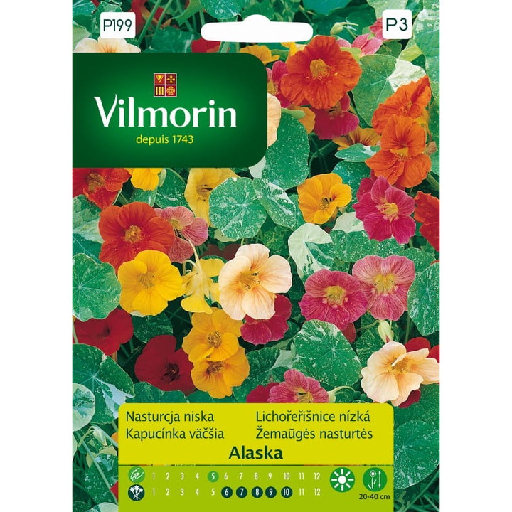 Seminte de gradina, Seminte de amestec de nasturtium, Vilmorin, 2 g, calitate superioara, seminte premium, seminte de top