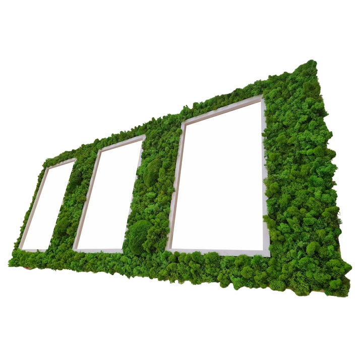 Tablou cu muschi, licheni si rame foto, Verde, 70x40 cm