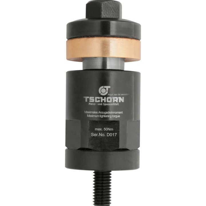 Bolt de fixare 50mm, filet M10 TSCHORN