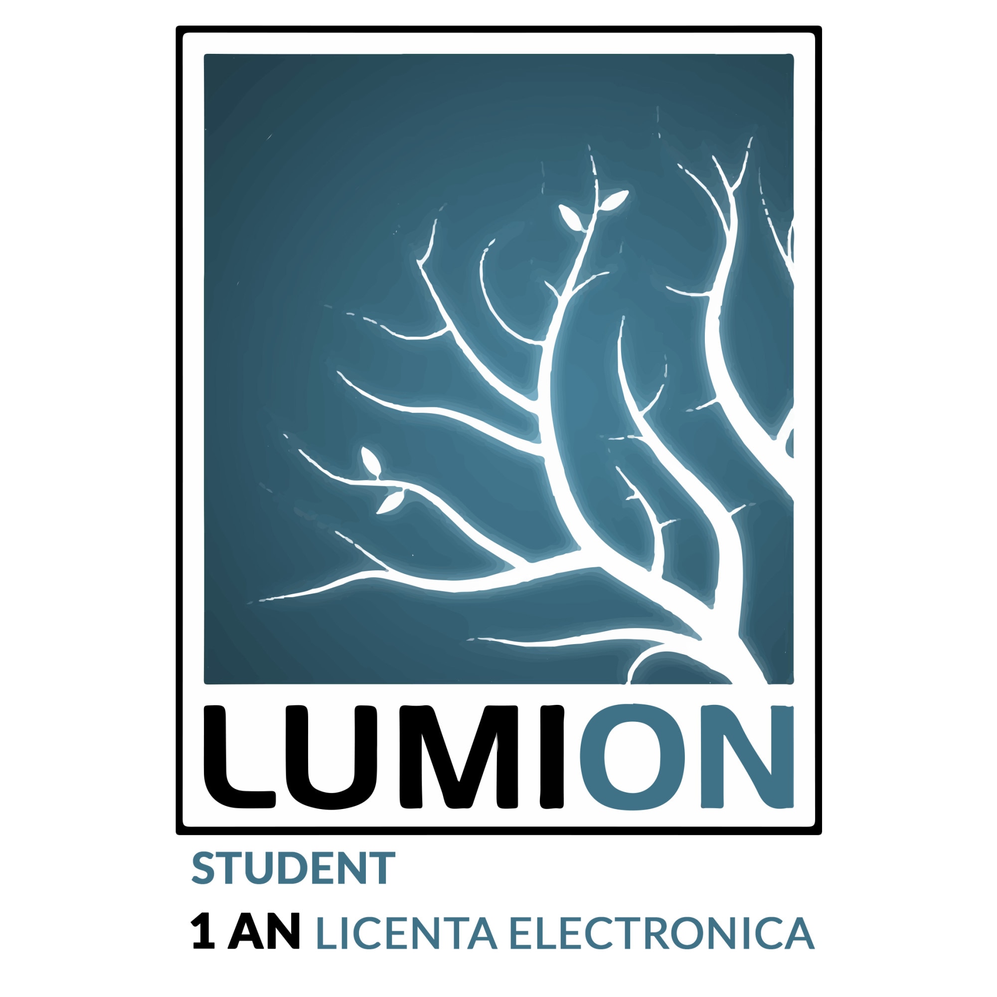 Licenta Lumion 12.5 Student 1 PC Windows - eMAG.ro