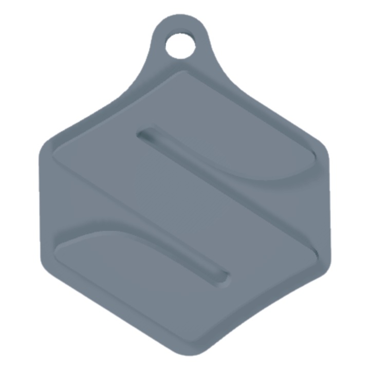 Breloc chei, "SUZUKI", 39X 34 mm argintiu