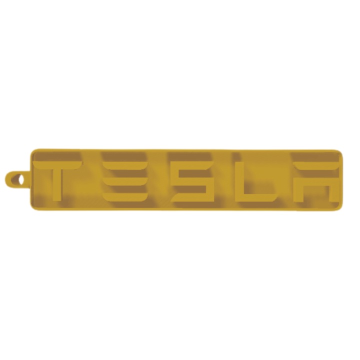 Breloc chei, "TESLA", 12X 60 mm auriu