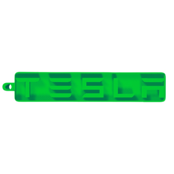 Breloc chei, "TESLA", 12X 60 mm verde