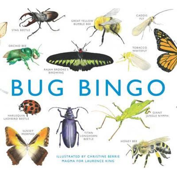 Bug Bingo