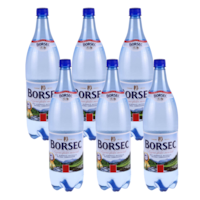 Apa minerala carbogazoasa Borsec bax 1L x 6 sticle