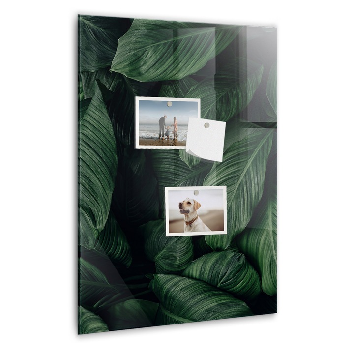 Tabla magnetica, Coloray, Jungla de frunze de plante, Verde, 40 x 60 cm, Magneti, Marker alb, 010640700050400088907