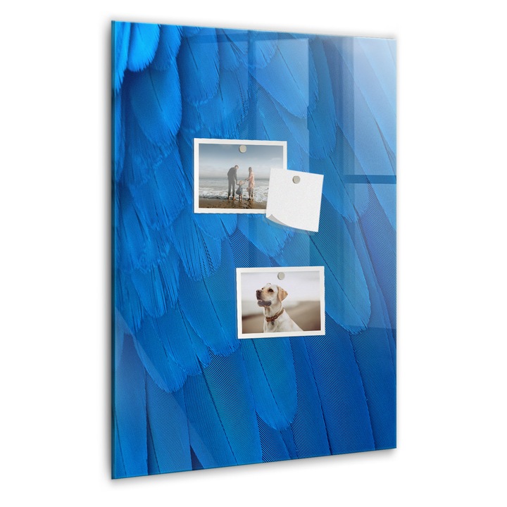 Tabla magnetica, Coloray, Pene de pasare, Albastru, 40 x 60 cm, Magneti, Marker alb, 010640700050400088974