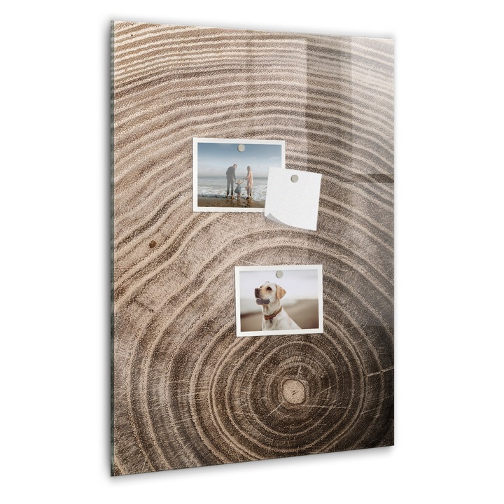 Tabla magnetica, Coloray, Rumegus, Maro, 40 x 60 cm, Magneti, Marker alb, 010640700050400260280