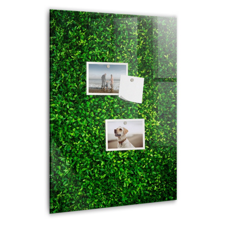 Tabla magnetica, Coloray, Gardul pleaca, Verde, 40 x 60 cm, Magneti, Marker alb, 010640700050400088938