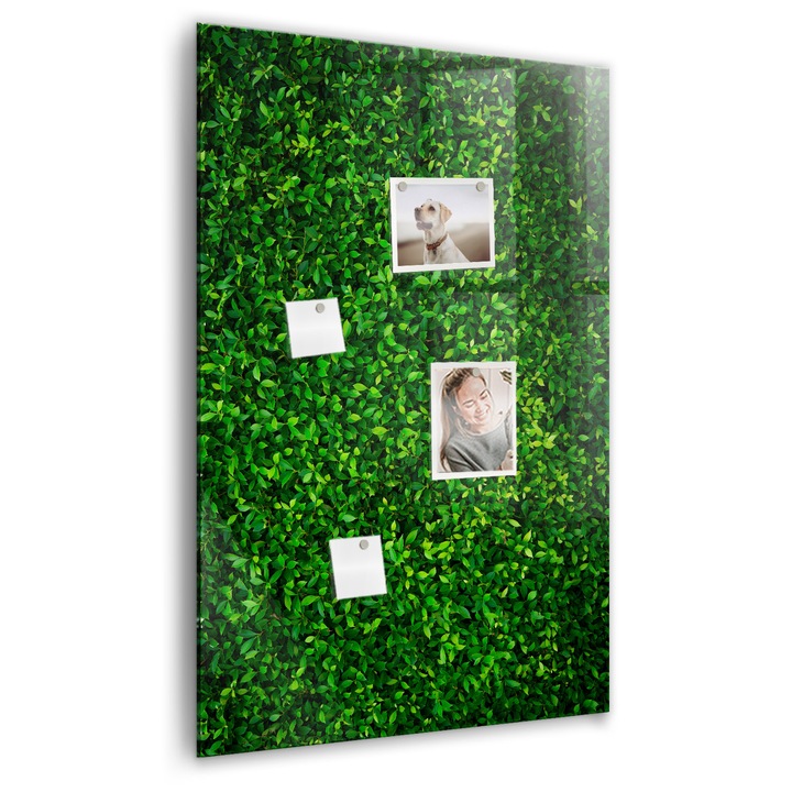 Tabla magnetica, Coloray, Gardul pleaca, Verde, 60 x 90 cm, Magneti, Marker alb, 010640700020400088938