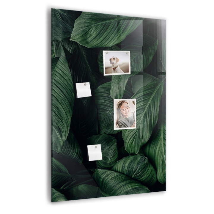 Tabla magnetica, Coloray, Jungla de frunze de plante, Verde, 70 x 100 cm, Magneti, Marker alb, 010640700070400088907