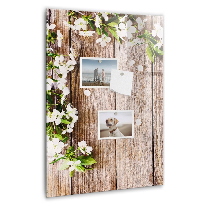 Tabla magnetica, Coloray, Stokrotki pe scanduri, Maro, 40 x 60 cm, Magneti, Marker negru, 010640700050300088795