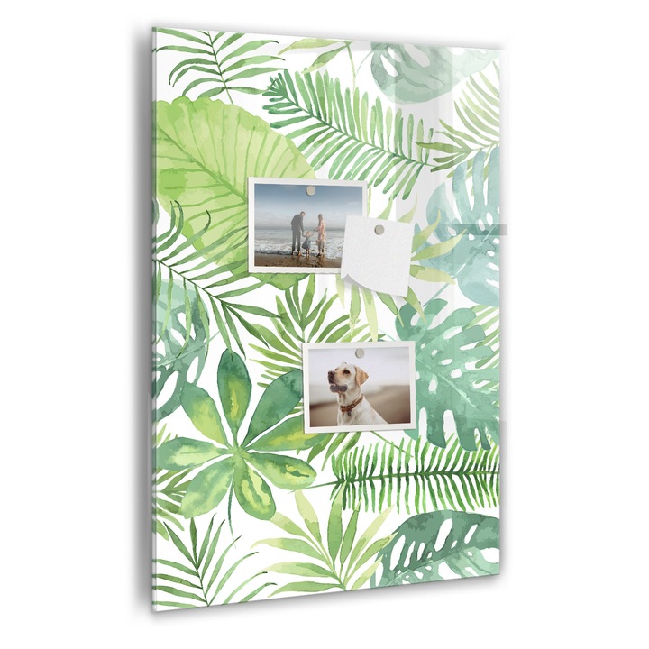 Tabla magnetica, Coloray, Acuarela lasa padure, Verde, 40 x 60 cm, Magneti, Marker negru, 010640700050300089025