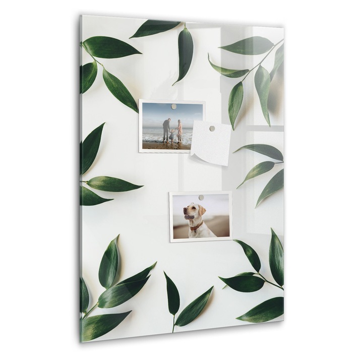 Tabla magnetica, Coloray, Cadrul frunzelor verzi, Nuante de bej, 40 x 60 cm, Magneti, Marker negru, 010640700050300089016