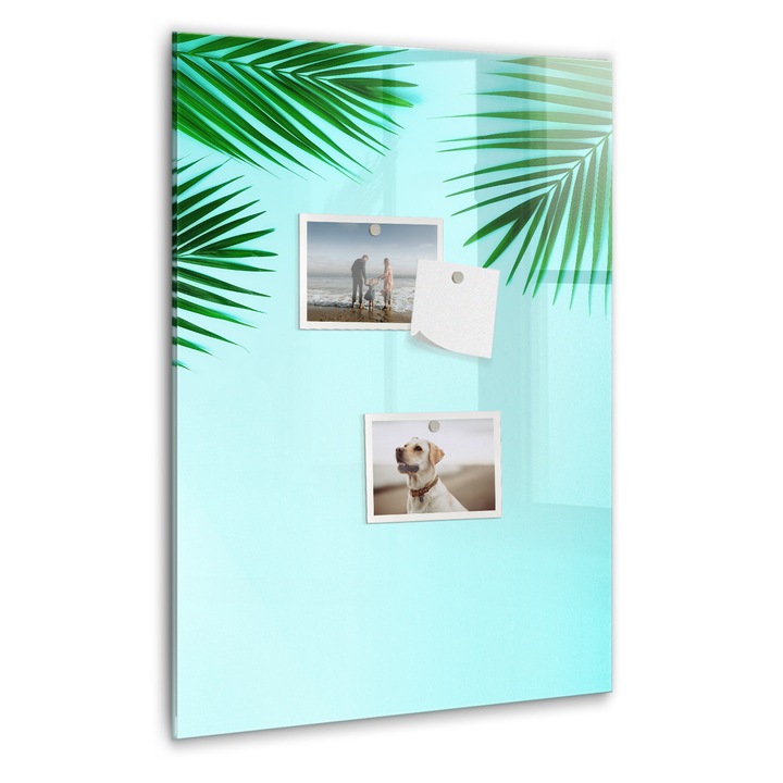 Tabla magnetica, Coloray, frunze de palmier, Albastru, 40 x 60 cm, Magneti, Marker negru, 010640700050300260284