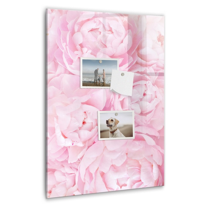 Tabla magnetica, Coloray, Flori de vara, Roz, 40 x 60 cm, Magneti, Marker negru, 010640700050300088998