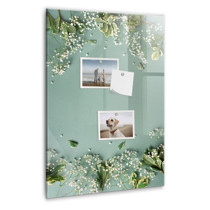 Tabla magnetica, Coloray, Flori łyszczec, Verde, 40 x 60 cm, Magneti, Marker negru, 010640700050300088966