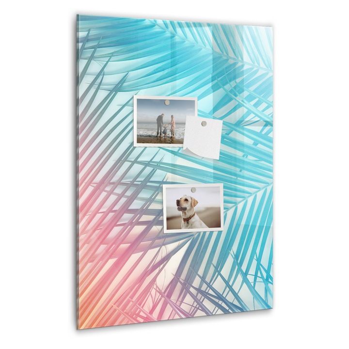 Tabla magnetica, Coloray, frunze de palmier, Albastru, 40 x 60 cm, Magneti, Marker negru, 010640700050300088968