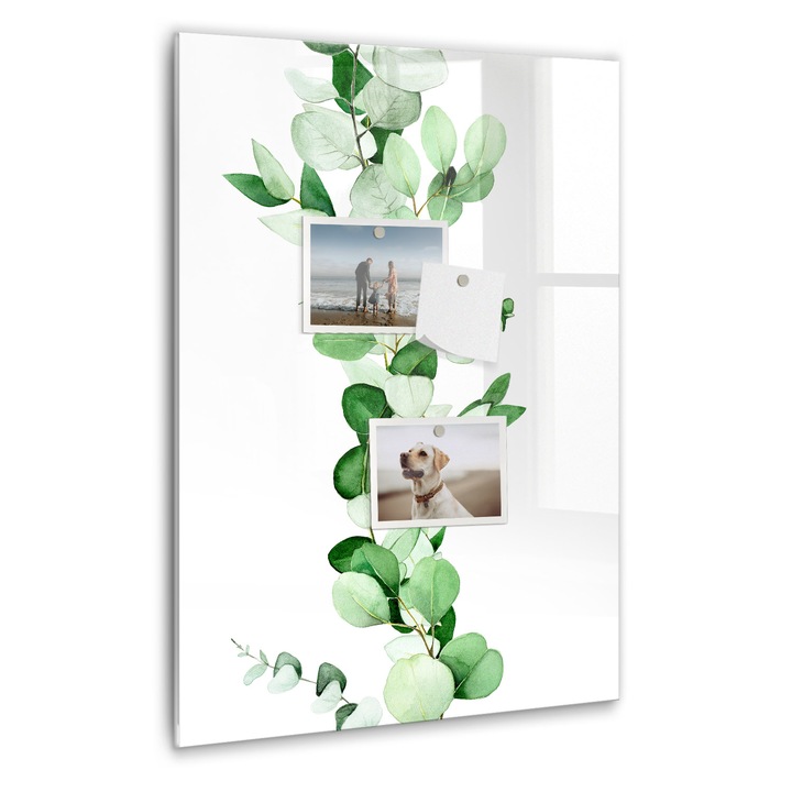 Tabla magnetica, Coloray, Plant Rush Frunze, Verde, 40 x 60 cm, Magneti, Marker negru, 010640700050300088878