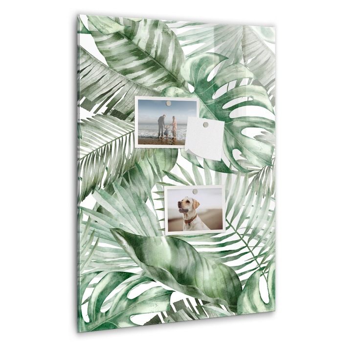 Tabla magnetica, Coloray, Frunze de acuarela, Verde, 40 x 60 cm, Magneti, Marker negru, 010640700050300088851