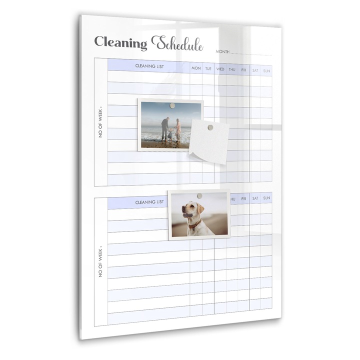 Tabla magnetica, Coloray, Program de curatare, Albastru, 40 x 60 cm, Magneti, Marker negru, 010640700050300260327