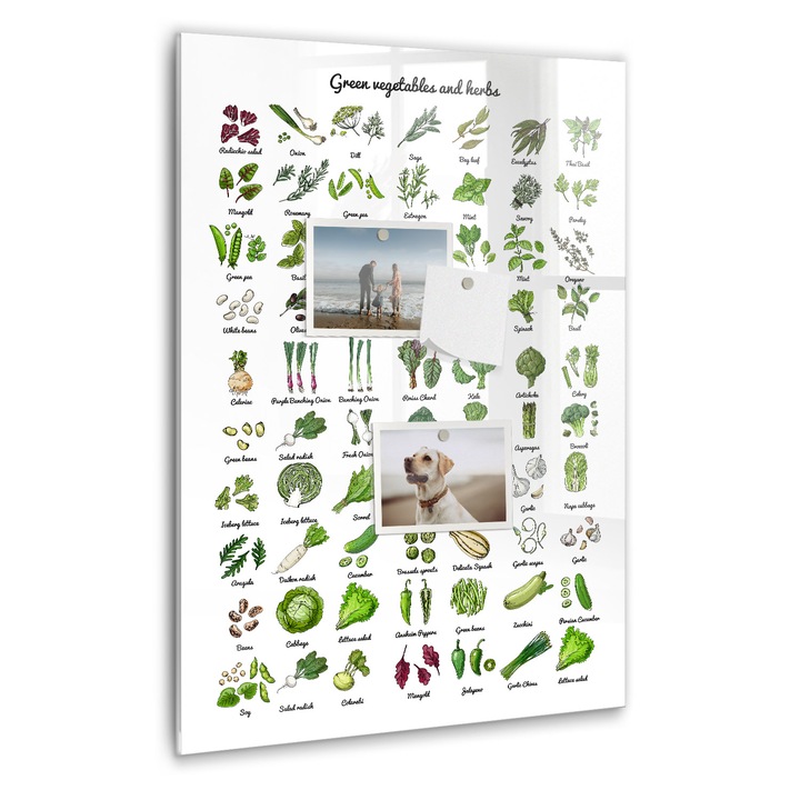 Tabla magnetica, Coloray, Legume verzi, Alb, 40 x 60 cm, Magneti, Marker negru, 010640700050300260314