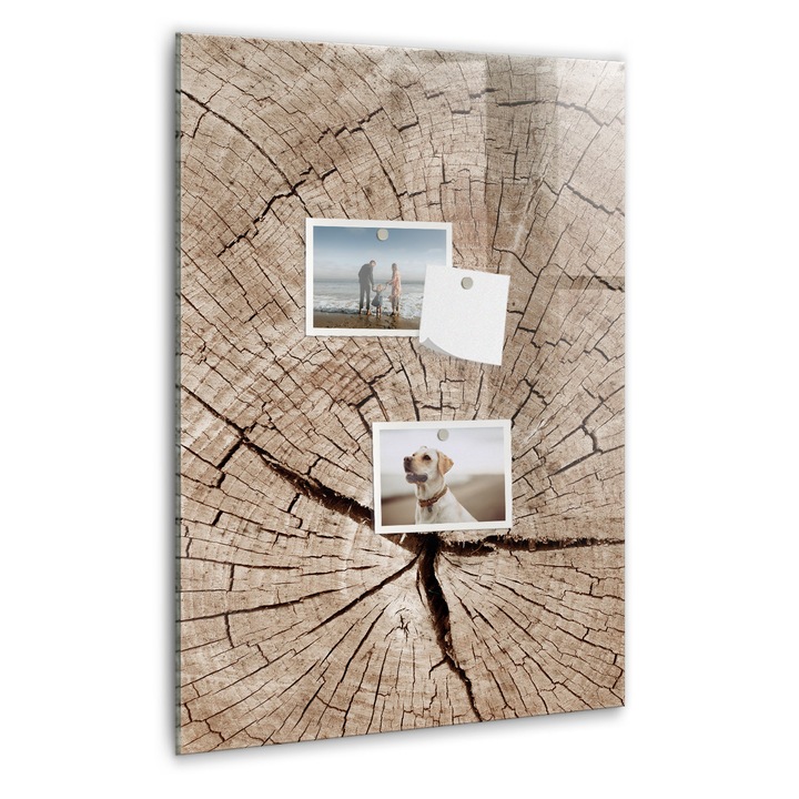 Tabla magnetica, Coloray, Trunchi incrucisat -sectiune, Nuante de bej, 40 x 60 cm, Magneti, Marker negru, 010640700050300260279