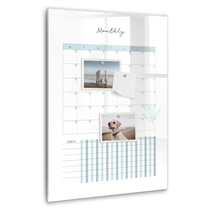 Tabla magnetica, Coloray, Planificator lunar, Alb, 40 x 60 cm, Magneti, Marker negru, 010640700050300088806