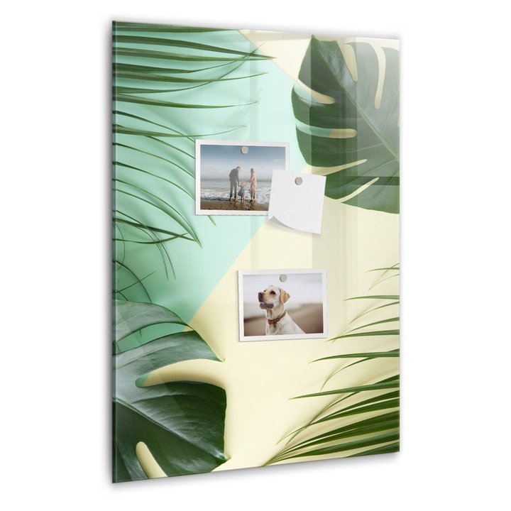 Tabla magnetica, Coloray, Montera tropicala, Verde, 40 x 60 cm, Magneti, Marker negru, 010640700050300088967