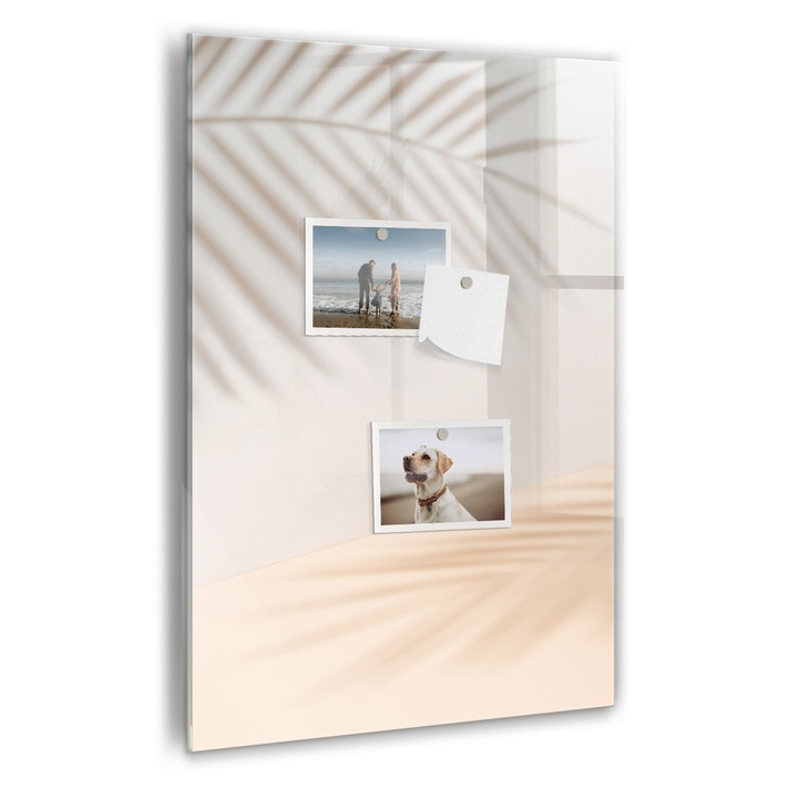 Tabla magnetica, Coloray, Nuanta de frunze de palmier, Gri, 40 x 60 cm, Magneti, Marker negru, 010640700050300088898