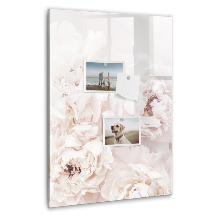 Tabla magnetica, Coloray, Flori de bujor, Roz, 40 x 60 cm, Magneti, Marker negru, 010640700050300088904