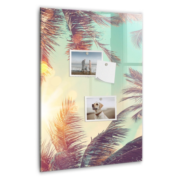 Tabla magnetica, Coloray, Palma tropicala, Multicolor, 40 x 60 cm, Magneti, Marker negru, 010640700050300088905