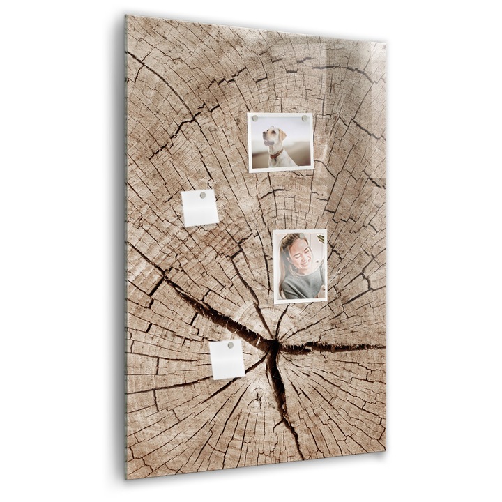 Tabla magnetica, Coloray, Trunchi incrucisat -sectiune, Nuante de bej, 60 x 90 cm, Magneti, Marker negru, 010640700020300260279