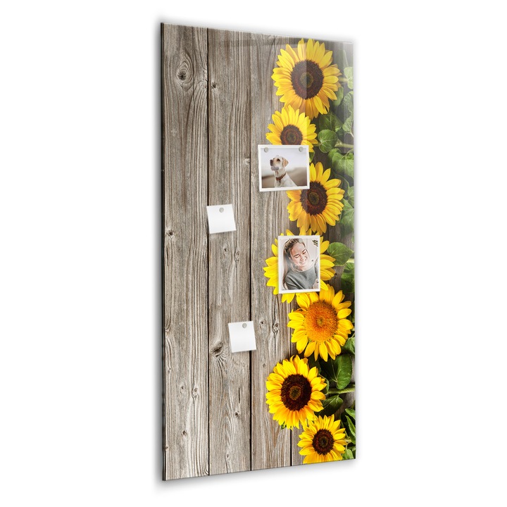 Tabla magnetica, Coloray, Floarea -soarelui lemn, Maro, 60 x 120 cm, Magneti, Marker negru, 010640700080300089022