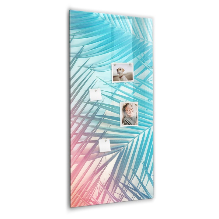 Tabla magnetica, Coloray, frunze de palmier, Albastru, 60 x 120 cm, Magneti, Marker negru, 010640700080300088968