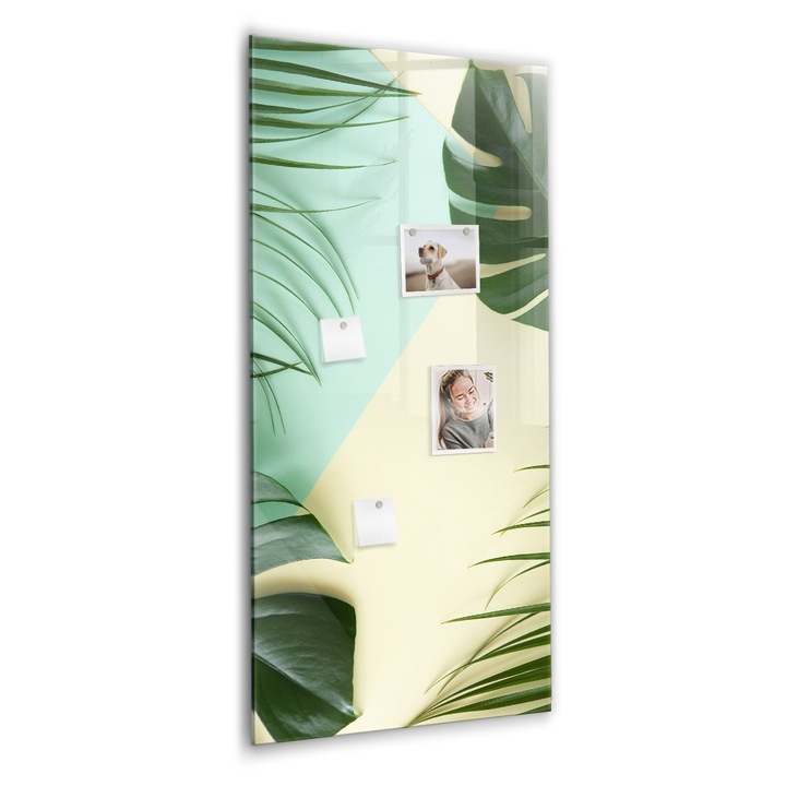 Tabla magnetica, Coloray, Montera tropicala, Verde, 60 x 120 cm, Magneti, Marker negru, 010640700080300088967