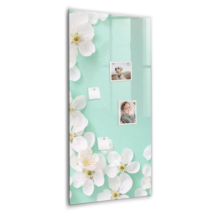 Tabla magnetica, Coloray, Flori inflorite, Verde, 60 x 120 cm, Magneti, Marker negru, 010640700080300088918