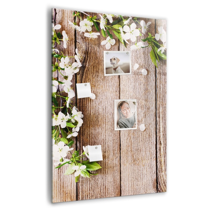 Tabla magnetica, Coloray, Stokrotki pe scanduri, Maro, 70 x 100 cm, Magneti, Marker negru, 010640700080300088795