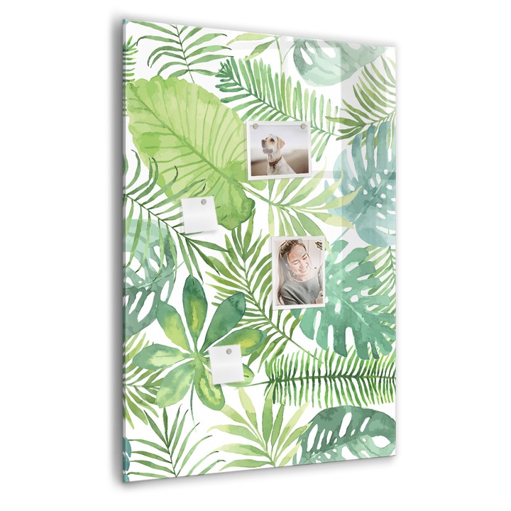 Tabla magnetica, Coloray, Acuarela lasa padure, Verde, 70 x 100 cm, Magneti, Marker negru, 010640700080300089025