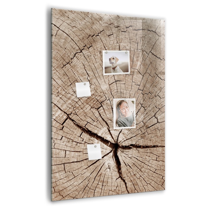 Tabla magnetica, Coloray, Trunchi incrucisat -sectiune, Nuante de bej, 70 x 100 cm, Magneti, Marker negru, 010640700080300260279